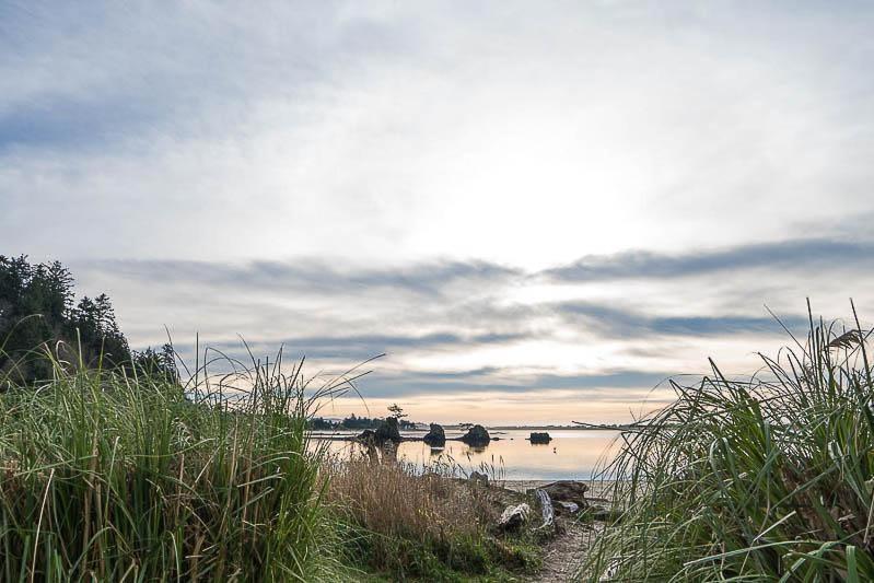 Birds Nest Suite Lincoln City Esterno foto
